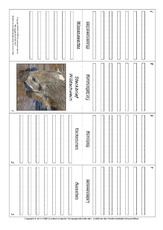 Faltbuch-Wildschwein.pdf